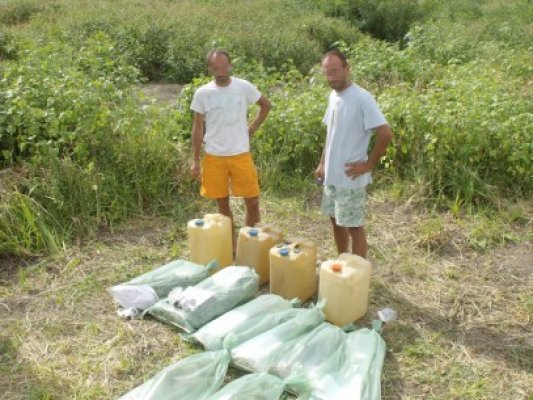 Afacerişti din Ungaria, prinşi în timp ce-şi udau cannabisul din deltă
